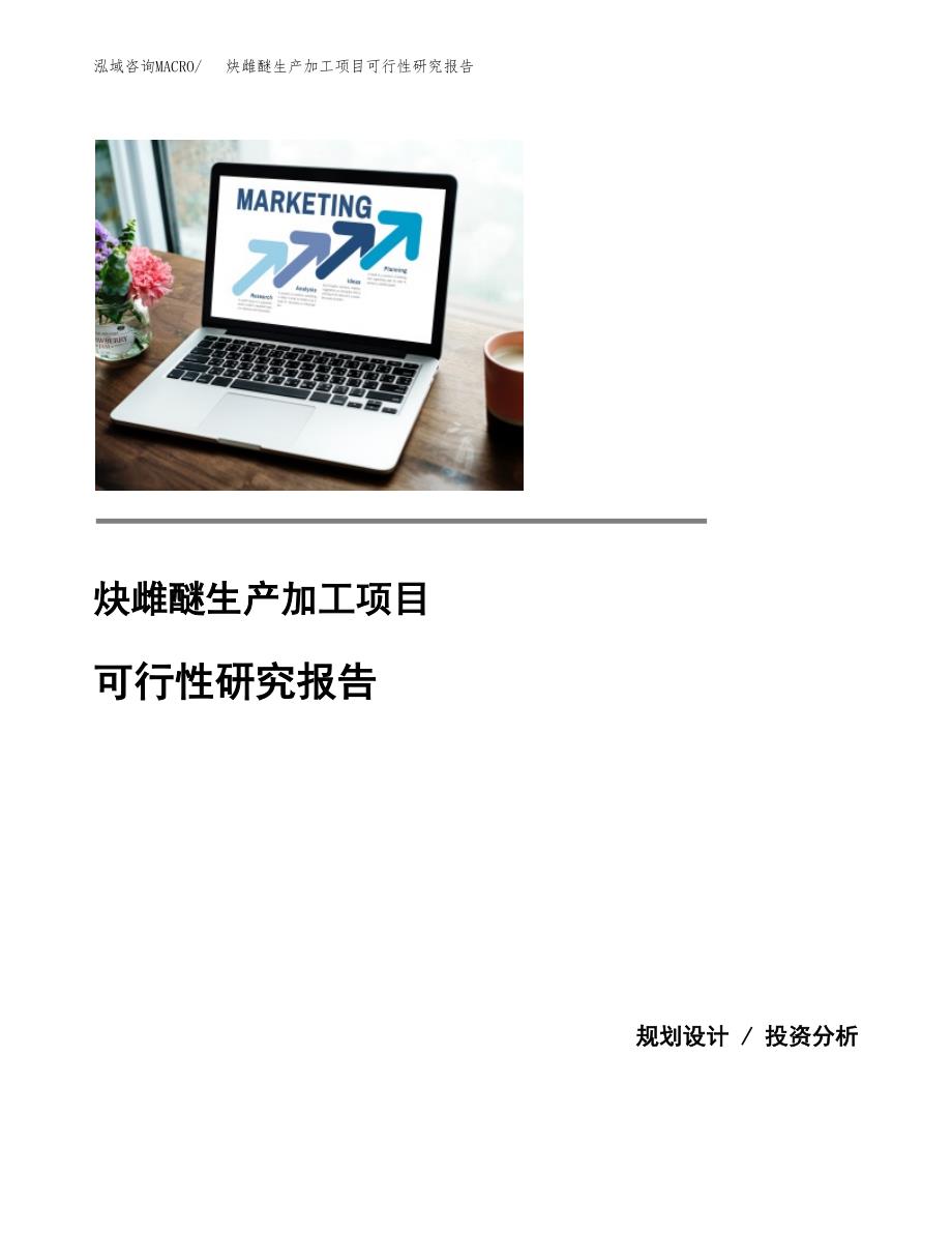 炔雌醚生产加工项目可行性研究报告_第1页