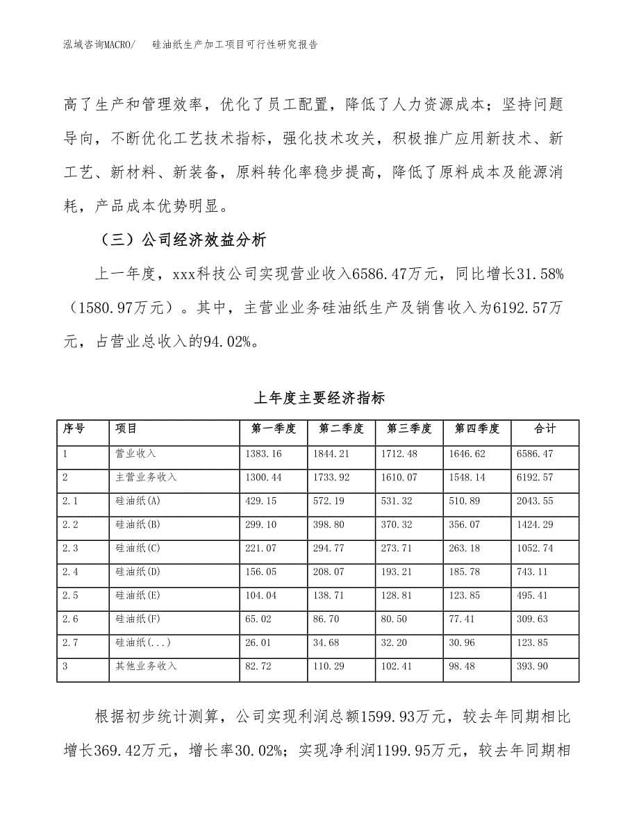 硅油纸生产加工项目可行性研究报告_第5页