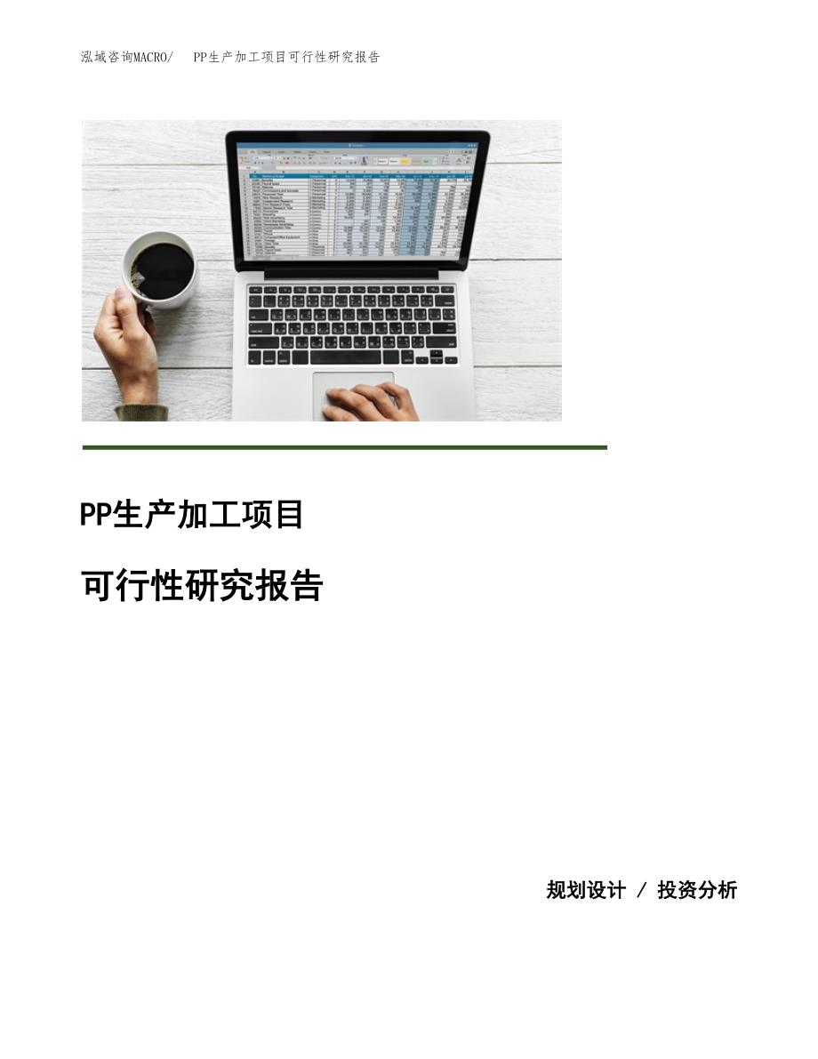 （模板）PP生产加工项目可行性研究报告_第1页