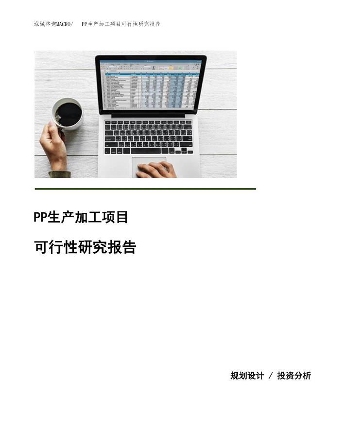 （模板）PP生产加工项目可行性研究报告