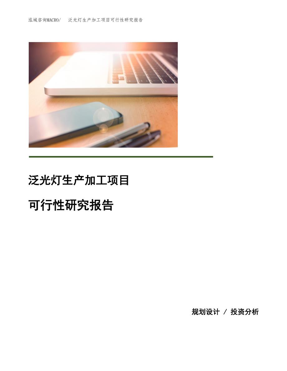 （模板）泛光灯生产加工项目可行性研究报告_第1页
