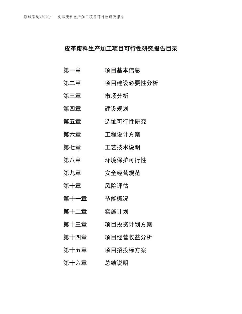 （模板）皮革废料生产加工项目可行性研究报告_第3页