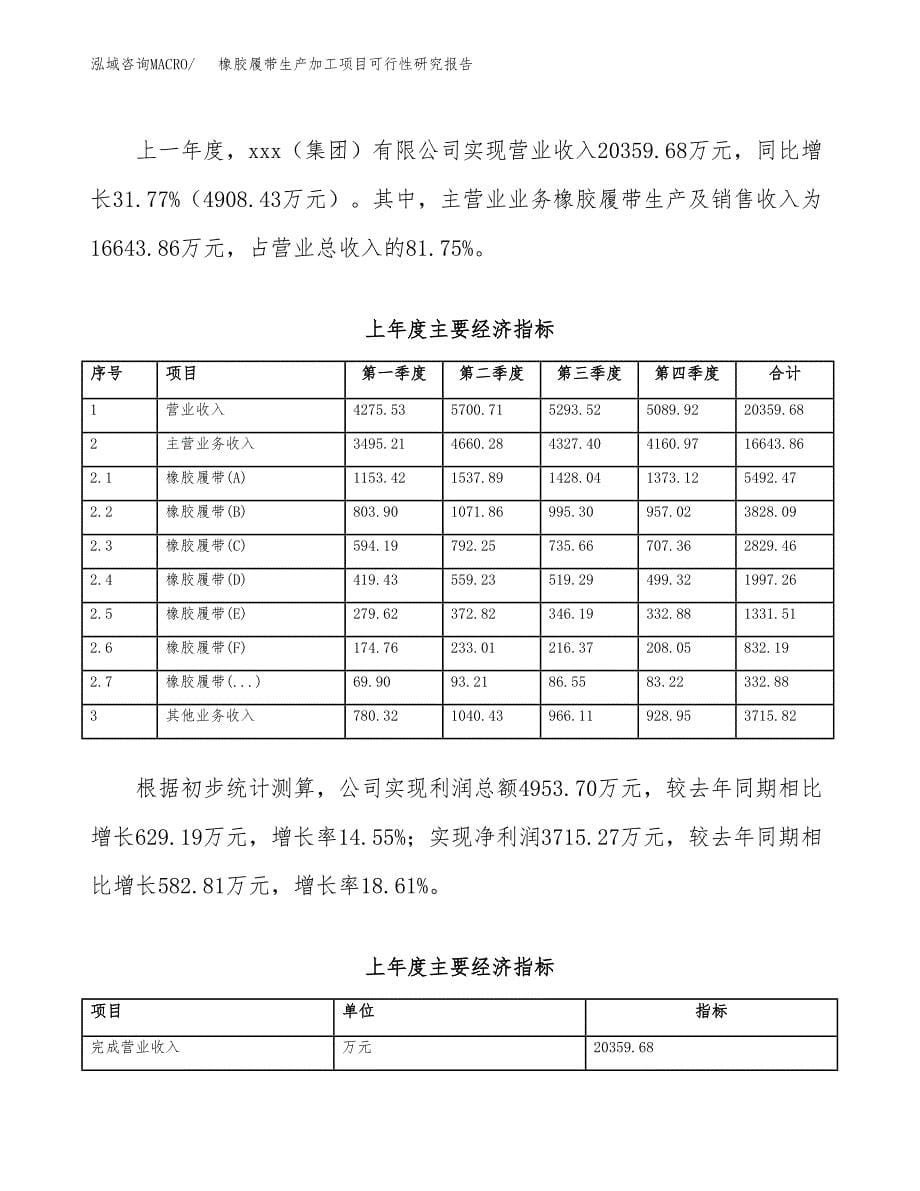 橡胶履带生产加工项目可行性研究报告_第5页