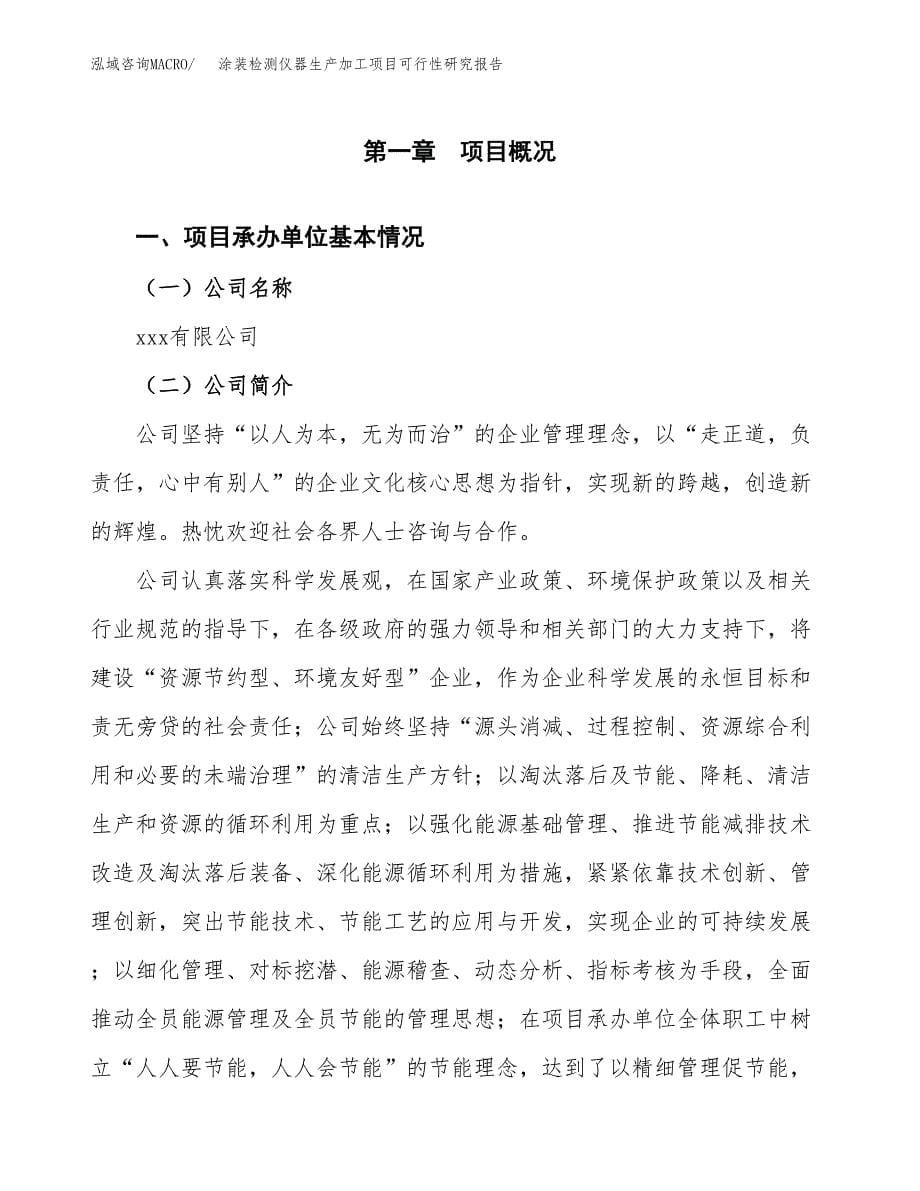 （模板）涂装检测仪器生产加工项目可行性研究报告_第5页