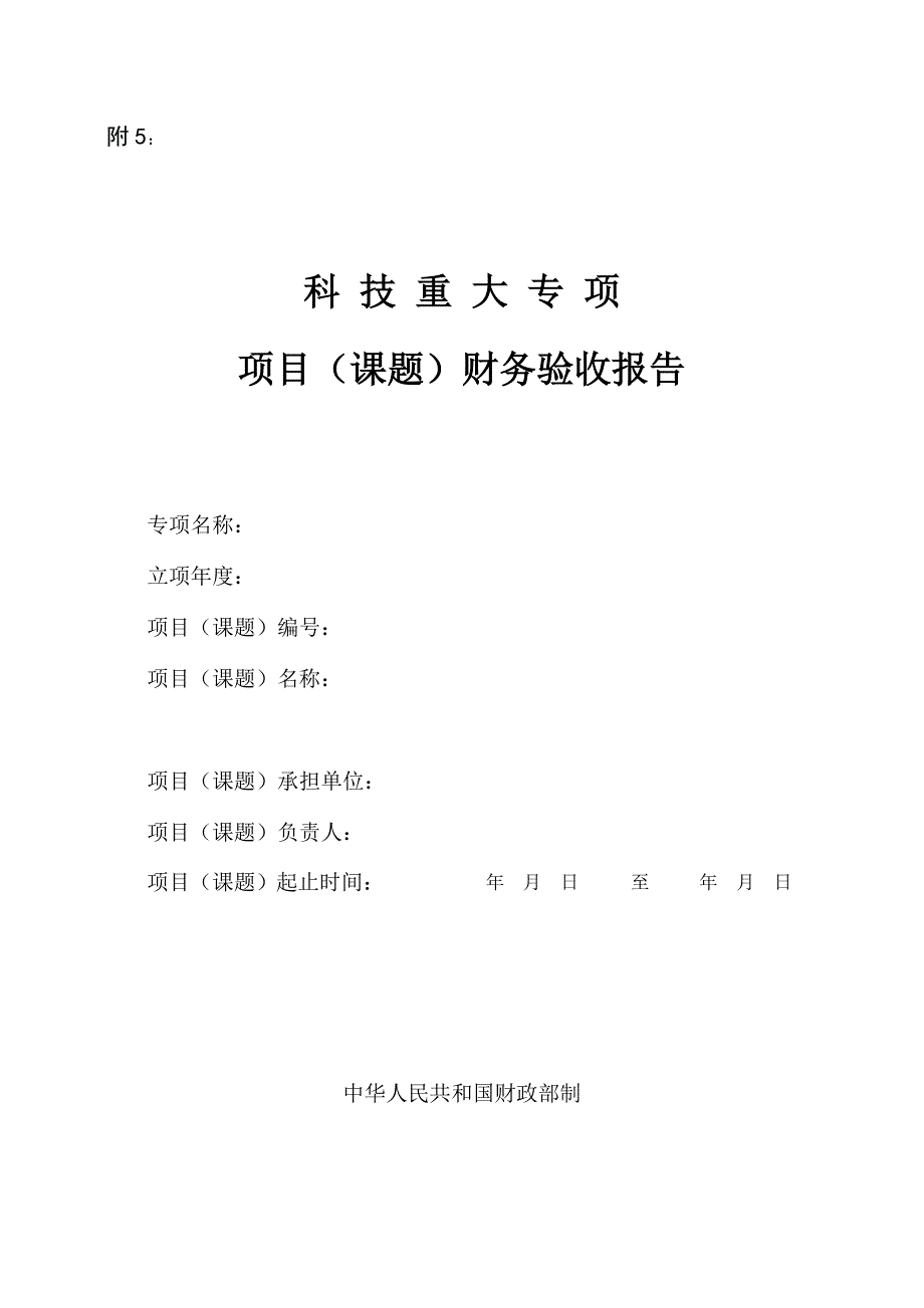 科技重大专项项目财务验收报告模板_第1页