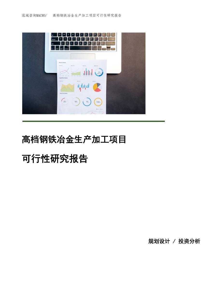 （模板）高档钢铁冶金生产加工项目可行性研究报告_第1页