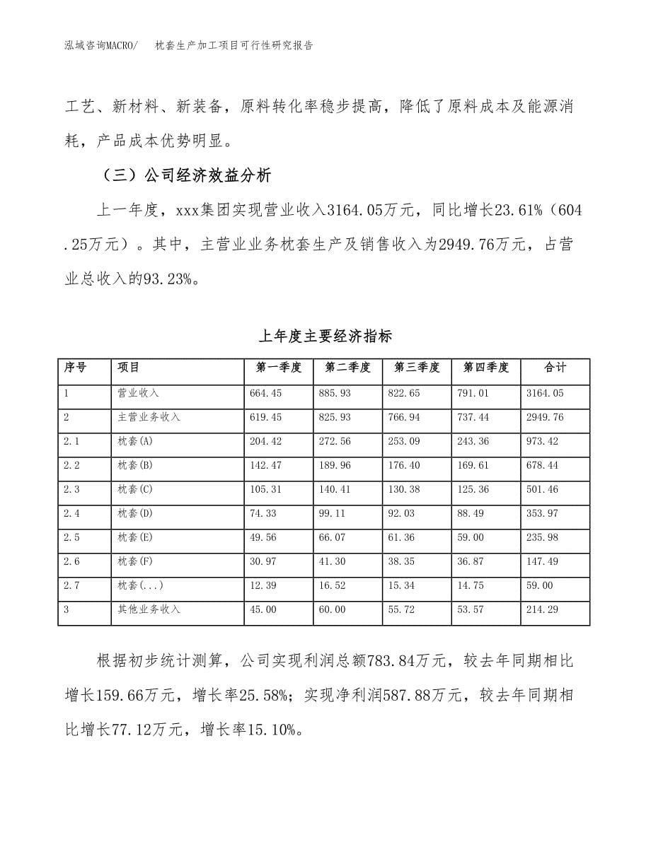 枕套生产加工项目可行性研究报告 (1)_第5页