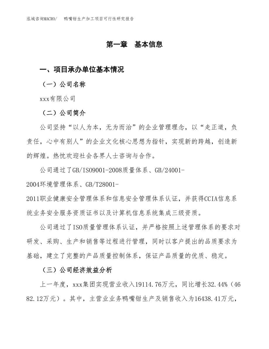 （模板）鸭嘴钳生产加工项目可行性研究报告_第5页