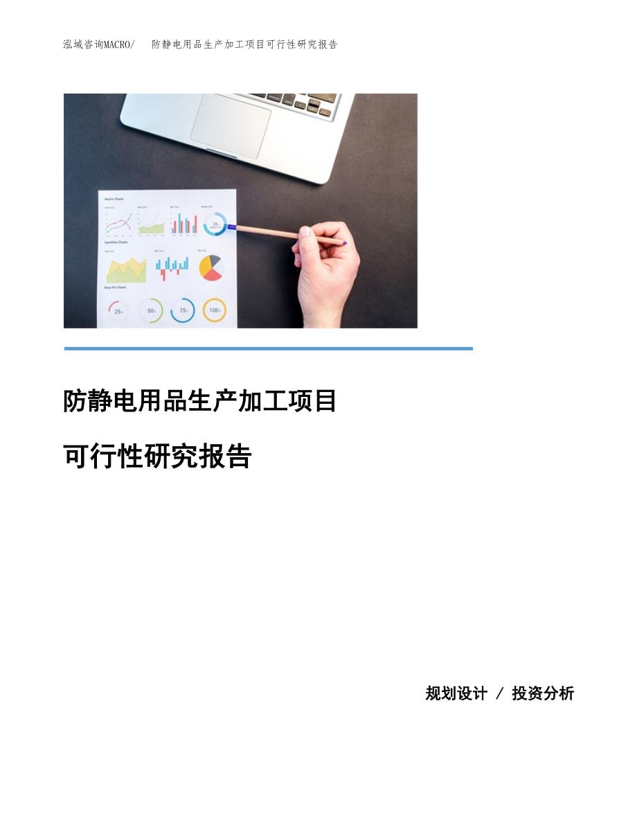 （模板）防静电用品生产加工项目可行性研究报告_第1页