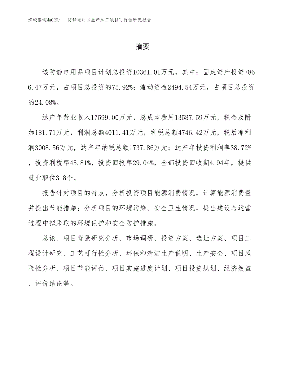 （模板）防静电用品生产加工项目可行性研究报告_第2页