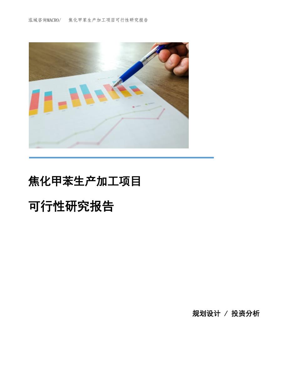 （模板）焦化甲苯生产加工项目可行性研究报告_第1页
