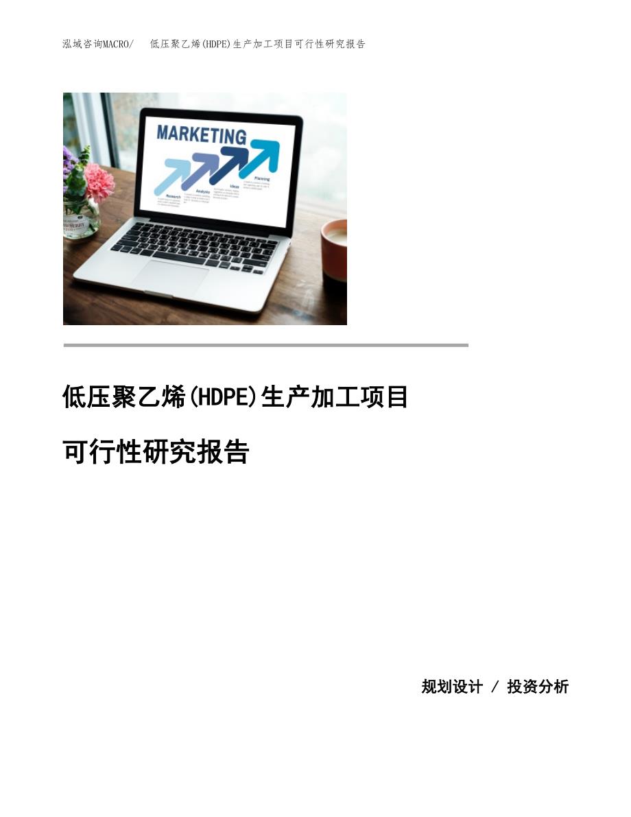 （模板）低压聚乙烯(HDPE)生产加工项目可行性研究报告_第1页