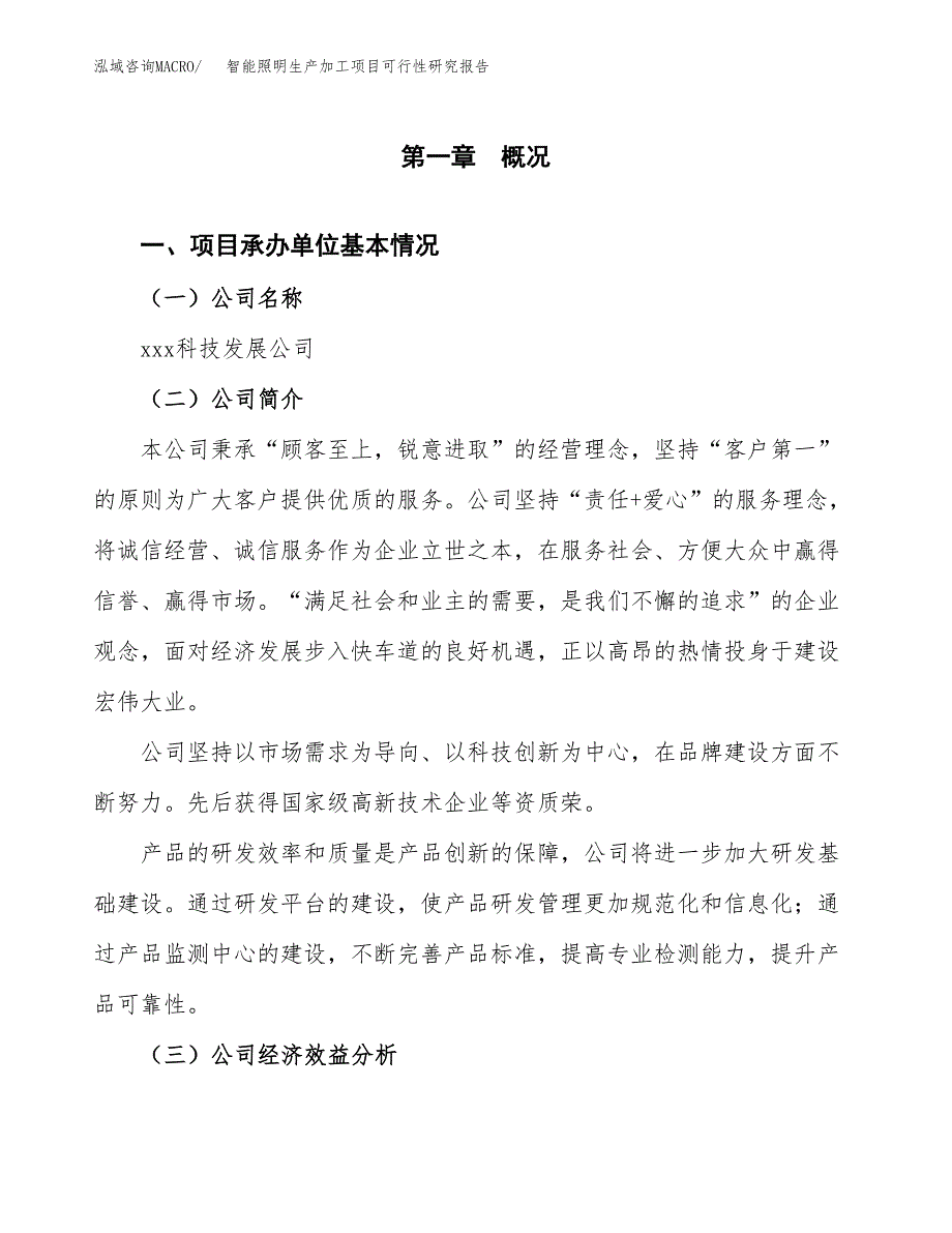 智能照明生产加工项目可行性研究报告_第4页