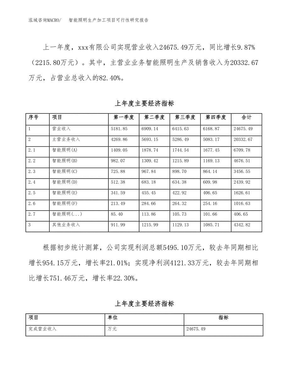 智能照明生产加工项目可行性研究报告_第5页