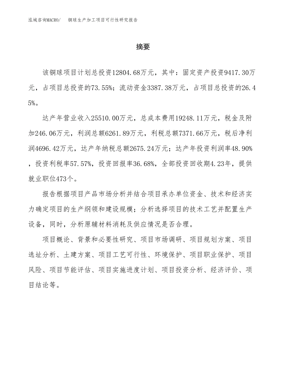 （模板）铜球生产加工项目可行性研究报告_第2页