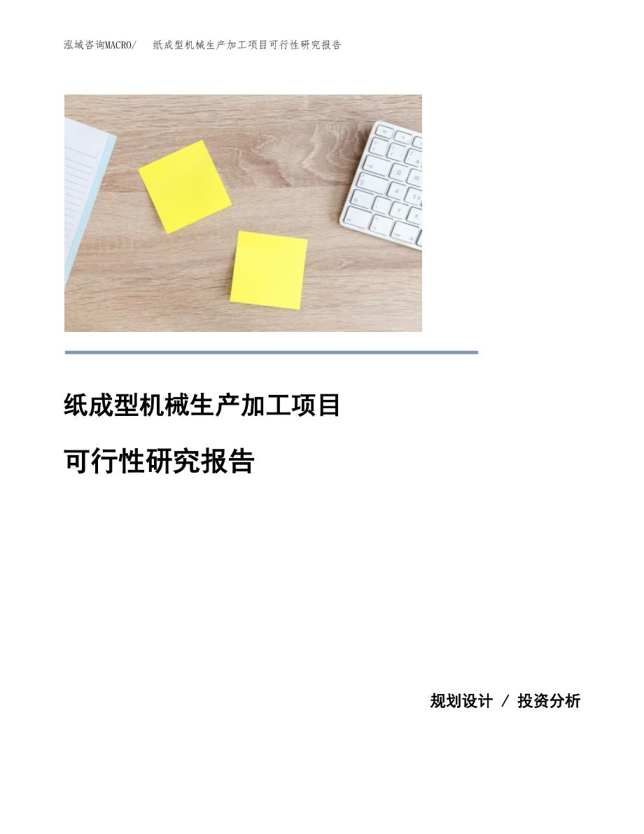 （模板）纸成型机械生产加工项目可行性研究报告_第1页