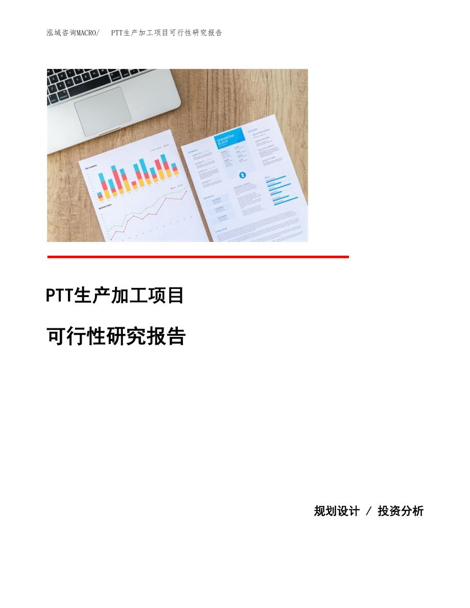 （模板）PTT生产加工项目可行性研究报告_第1页