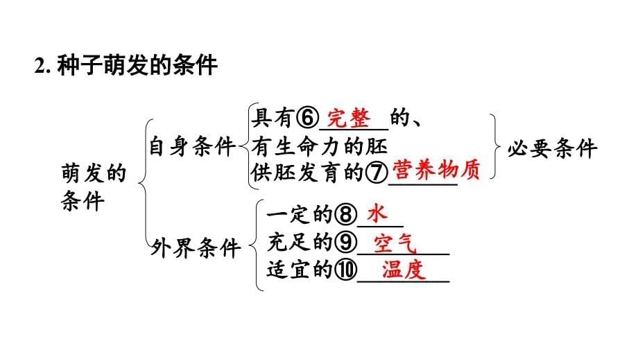 江苏中考生物复习：绿色植物的一生(2份) 苏教版_第5页