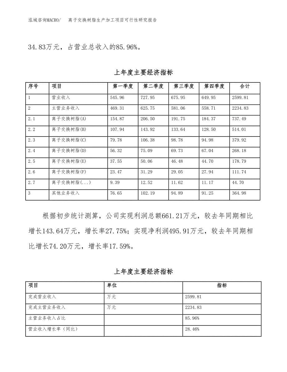 （模板）离子交换树脂生产加工项目可行性研究报告_第5页