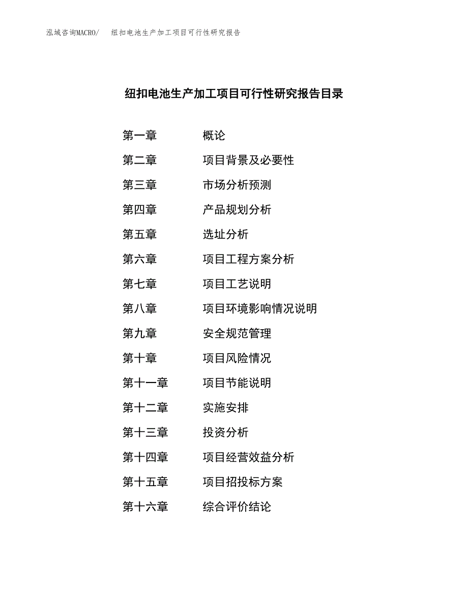 （模板）纽扣电池生产加工项目可行性研究报告_第3页