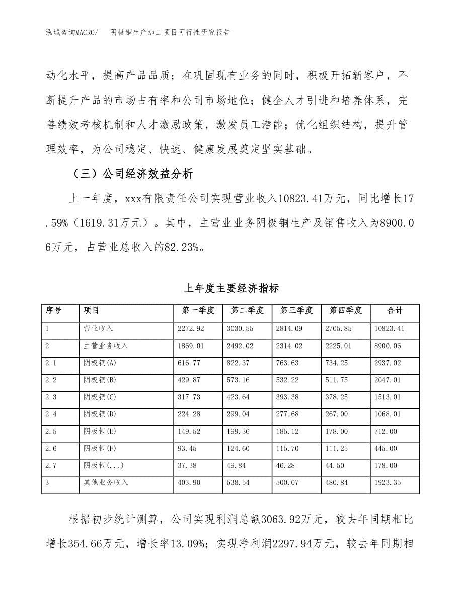 阴极铜生产加工项目可行性研究报告_第5页