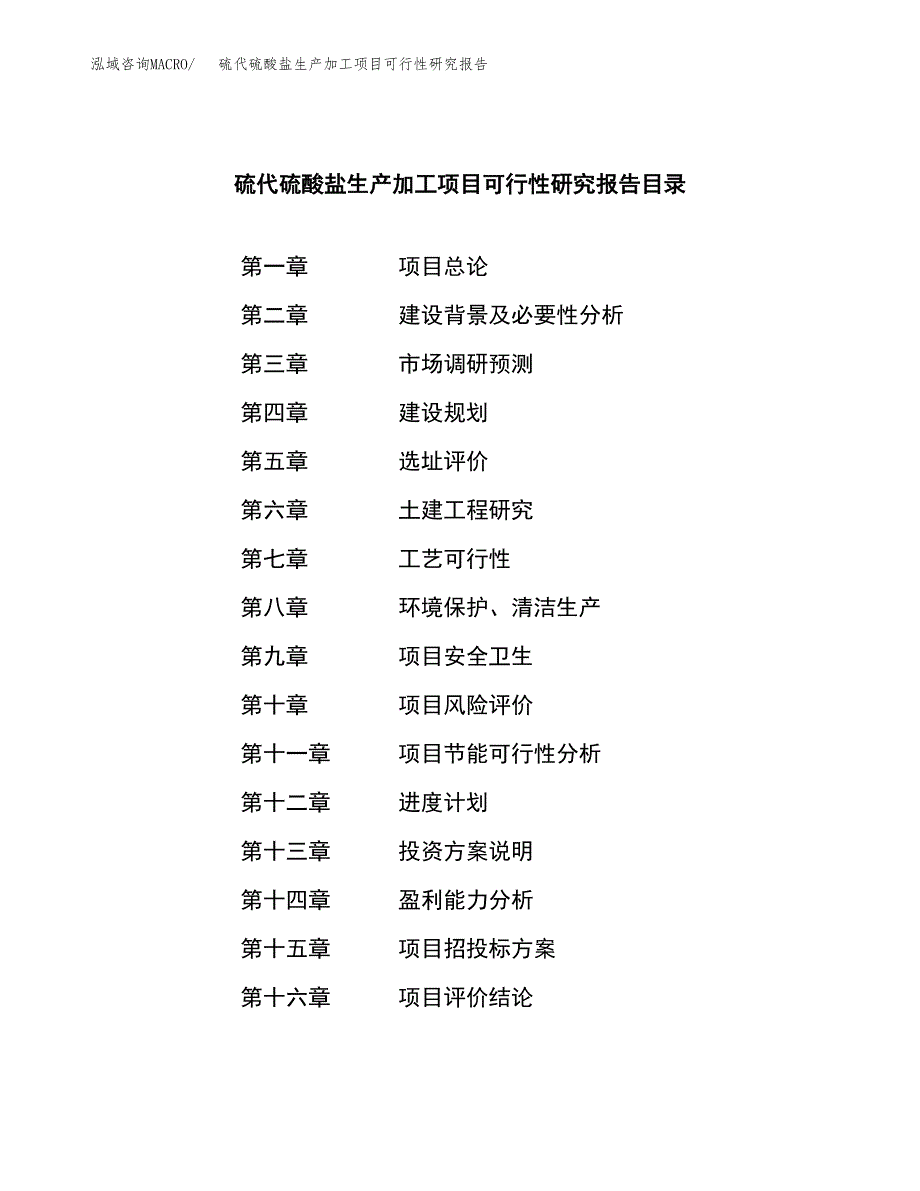 （模板）硫代硫酸盐生产加工项目可行性研究报告_第3页