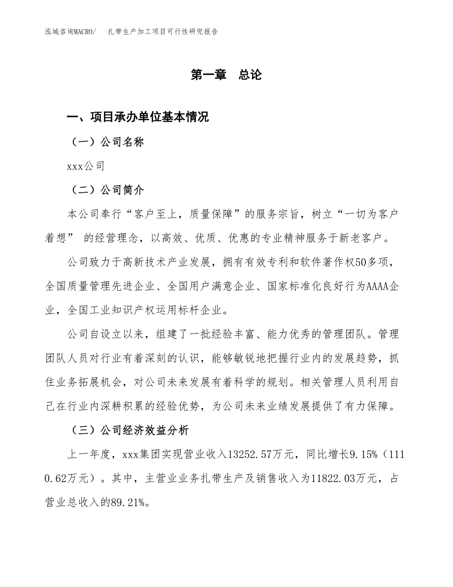 扎带生产加工项目可行性研究报告_第4页