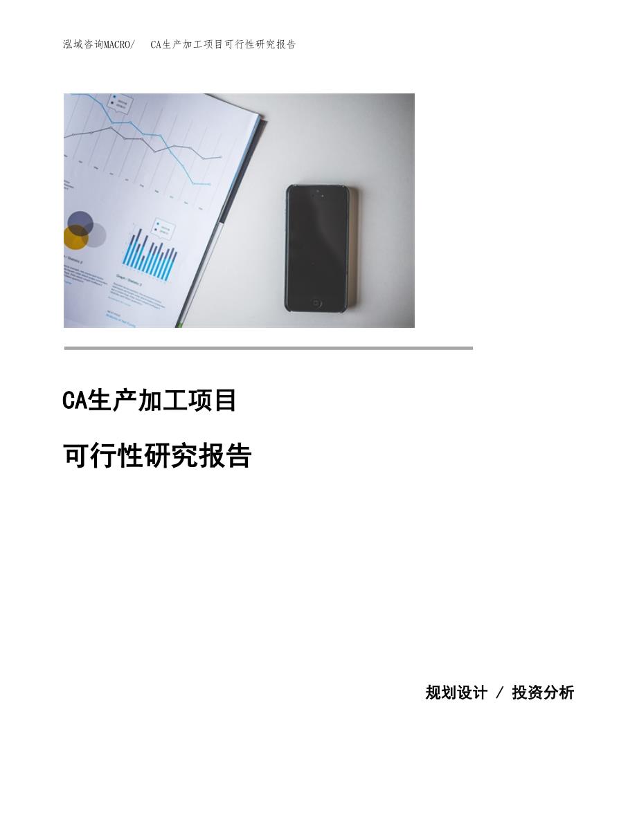 （模板）CA生产加工项目可行性研究报告_第1页
