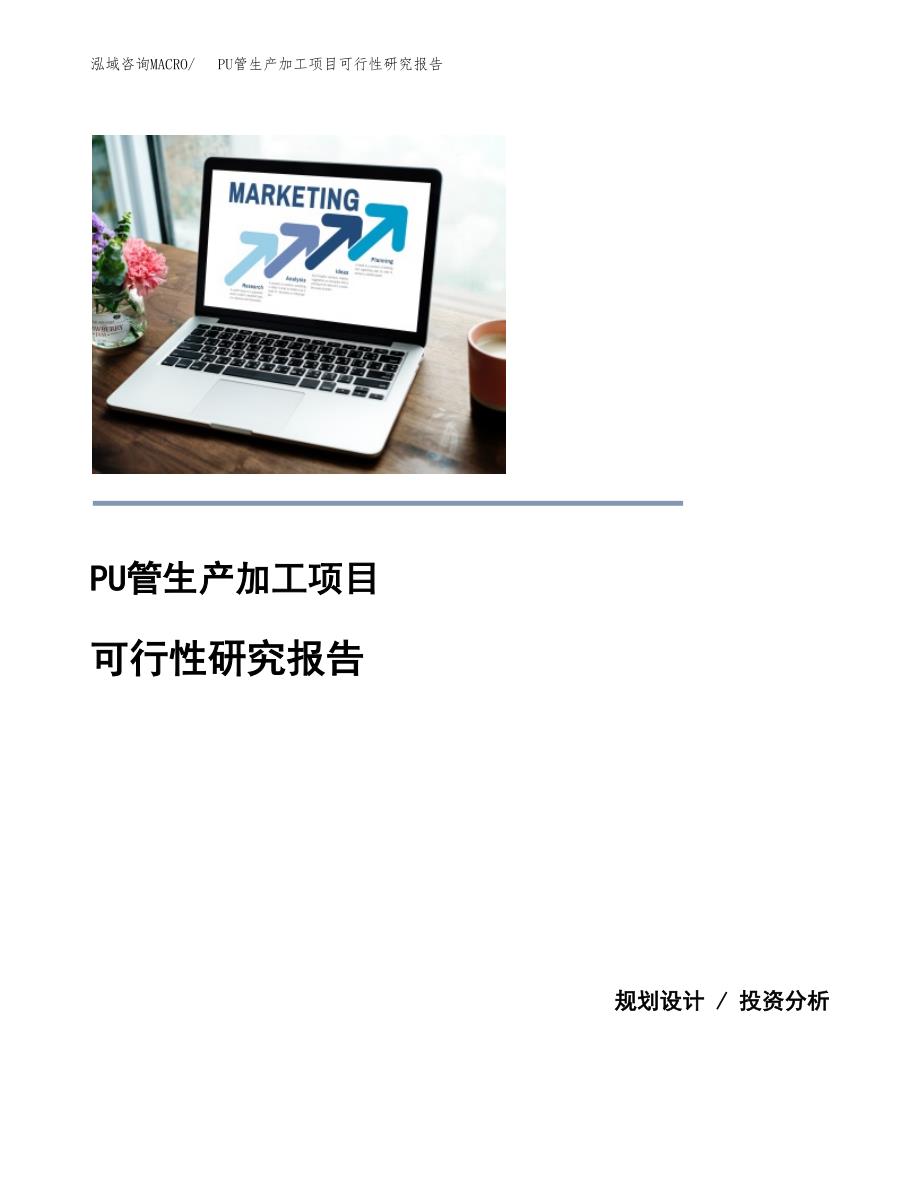 （模板）PU管生产加工项目可行性研究报告_第1页