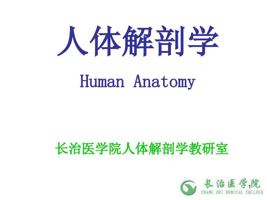 人体解剖学之运动系统 第二章 关节学 课件_第1页