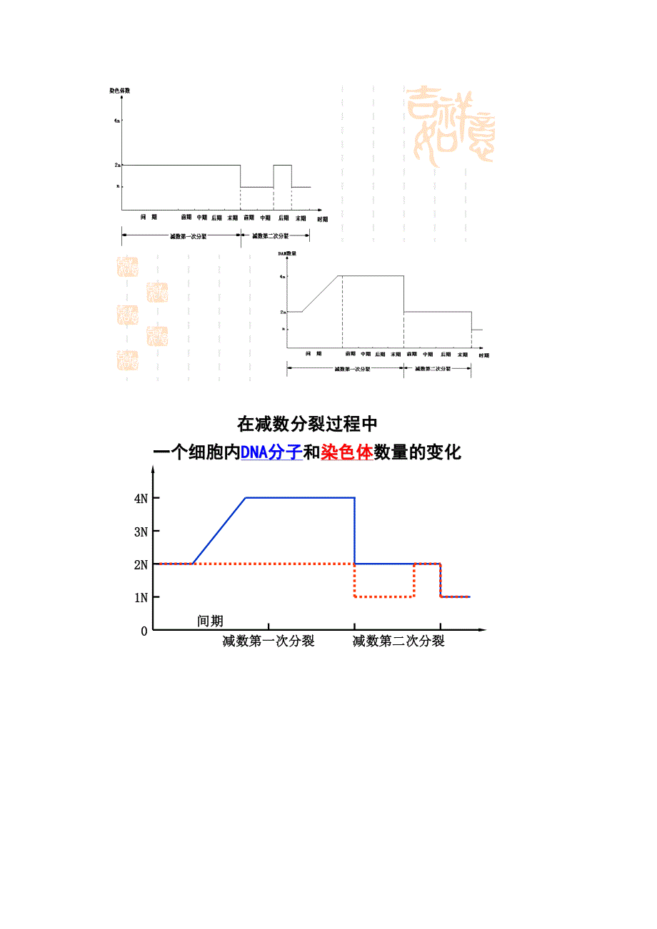 高一生物必修二减数分裂 生物知识点_第3页