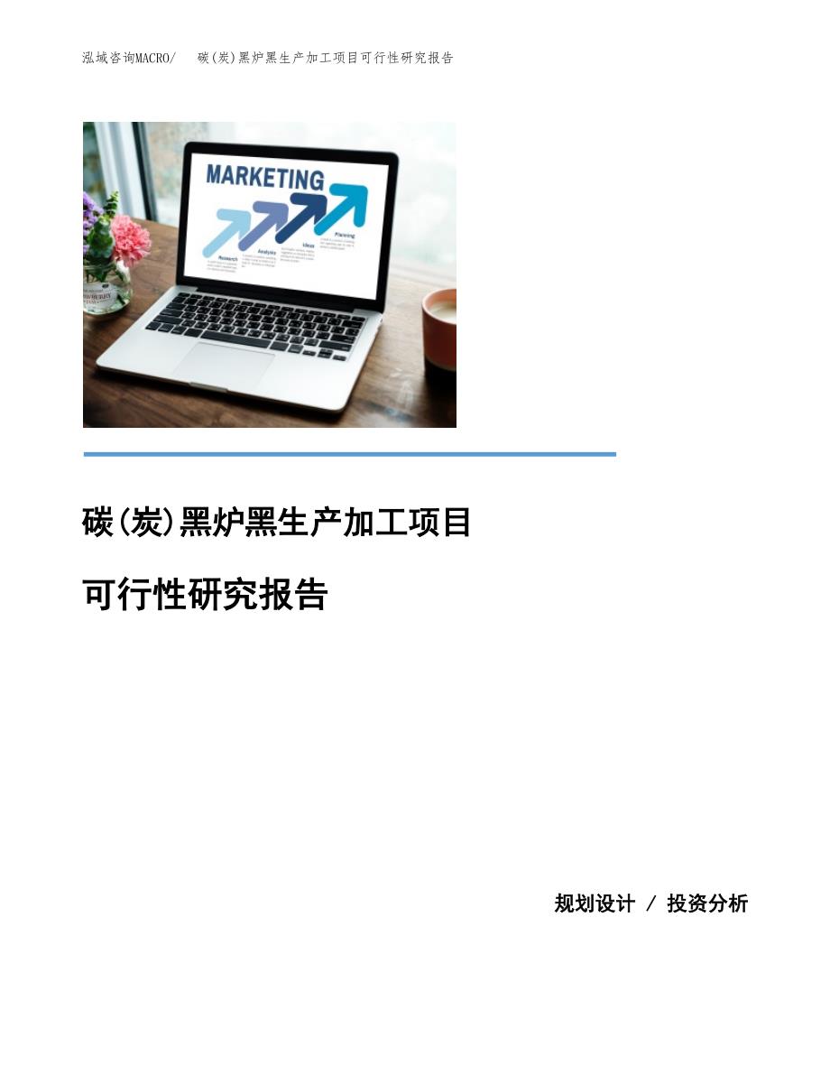 （模板）碳(炭)黑炉黑生产加工项目可行性研究报告_第1页