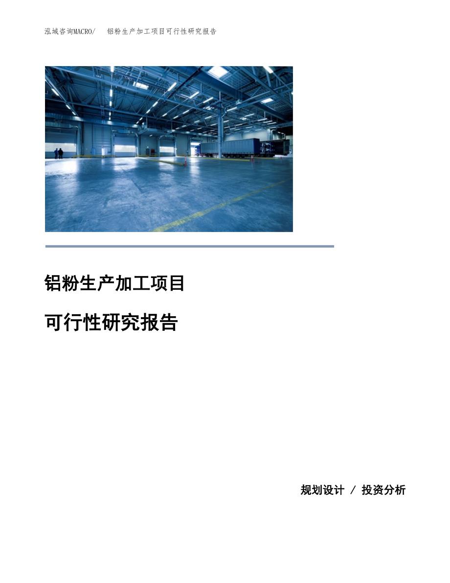 （模板）铝粉生产加工项目可行性研究报告_第1页