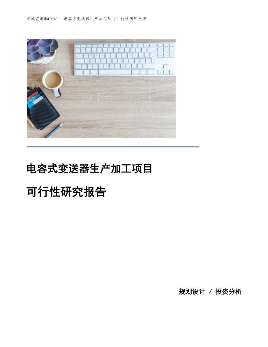 （模板）电容式变送器生产加工项目可行性研究报告_第1页