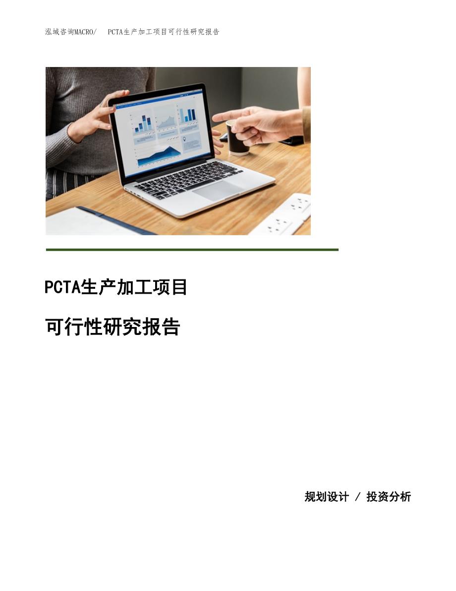 （模板）PCTA生产加工项目可行性研究报告_第1页