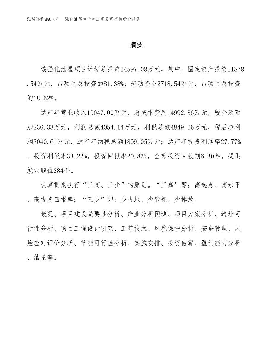 （模板）强化油墨生产加工项目可行性研究报告_第2页