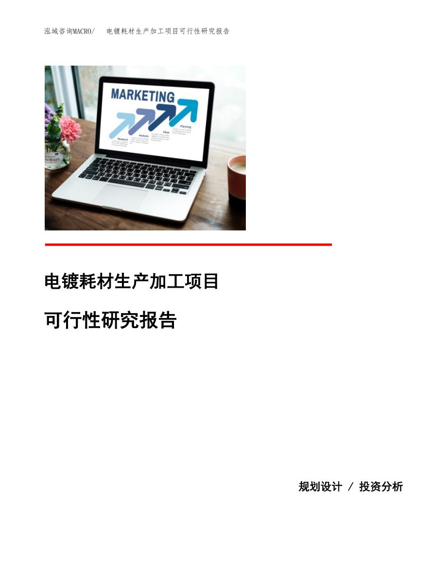 （模板）电镀耗材生产加工项目可行性研究报告_第1页