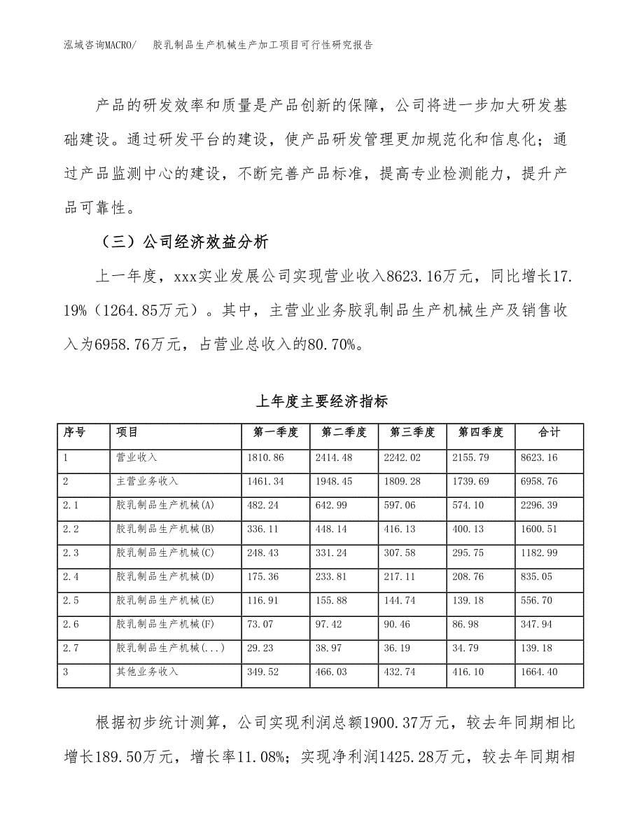 （模板）胶乳制品生产机械生产加工项目可行性研究报告_第5页