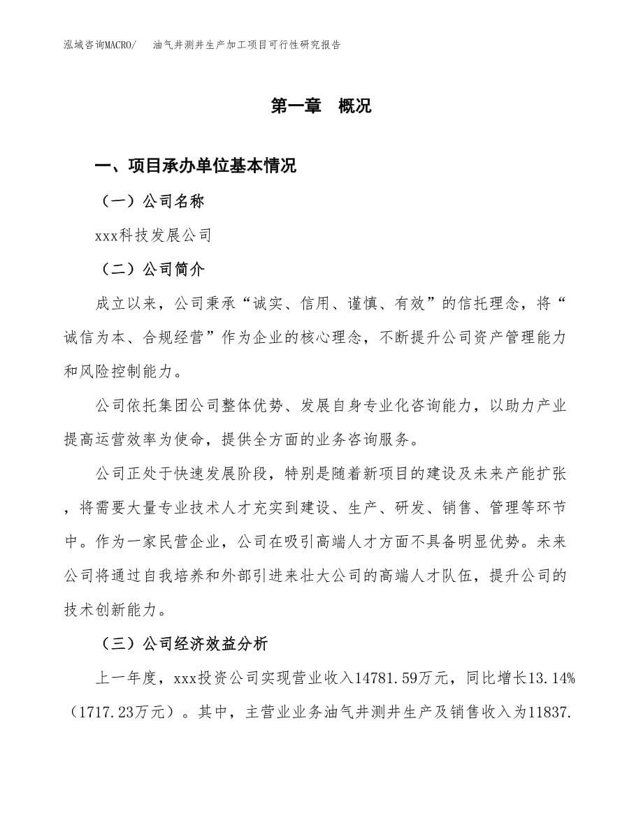 油气井测井生产加工项目可行性研究报告_第5页