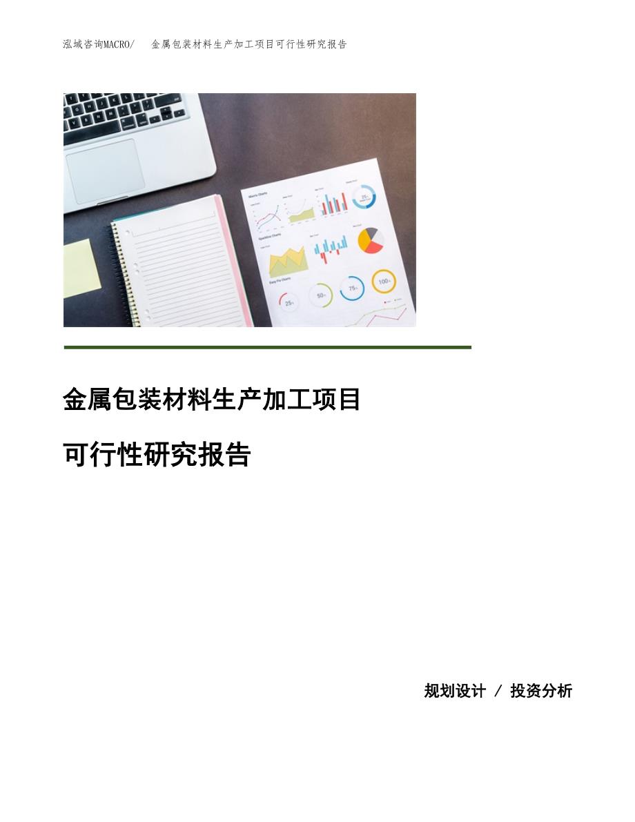 （模板）金属包装材料生产加工项目可行性研究报告_第1页