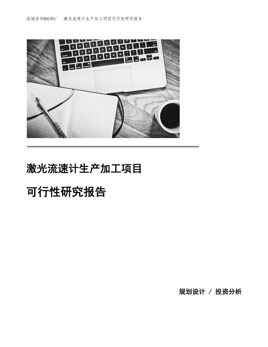 （模板）激光流速计生产加工项目可行性研究报告_第1页