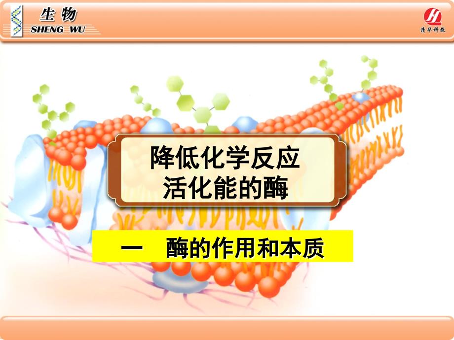 生物学①必修5.1《降低化学反应活化能的酶》课件_第1页