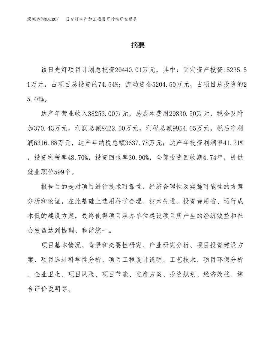 （模板）日光灯生产加工项目可行性研究报告_第2页