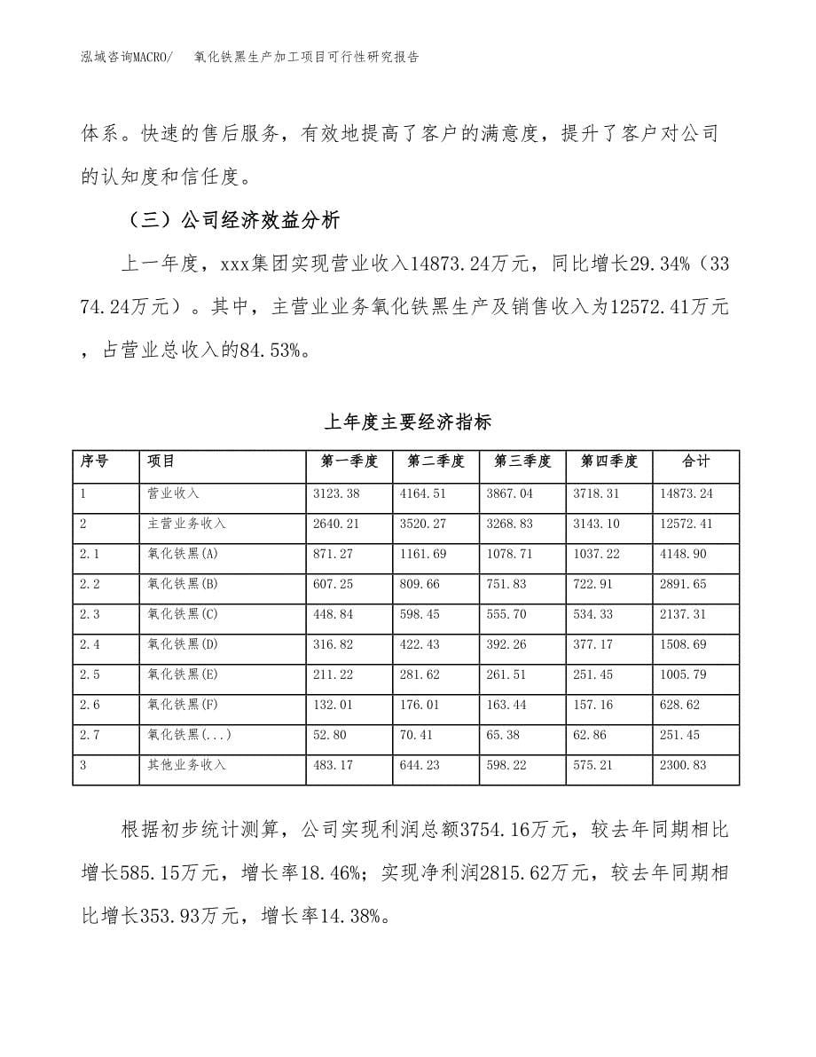 氧化铁黑生产加工项目可行性研究报告_第5页