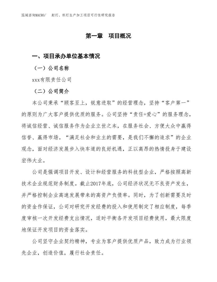 （模板）射灯、杯灯生产加工项目可行性研究报告_第4页