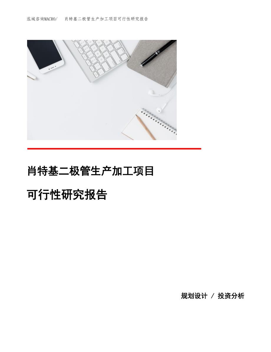 （模板）肖特基二极管生产加工项目可行性研究报告_第1页