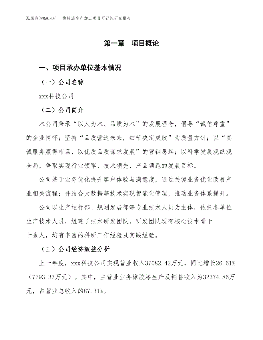 橡胶漆生产加工项目可行性研究报告 (1)_第4页