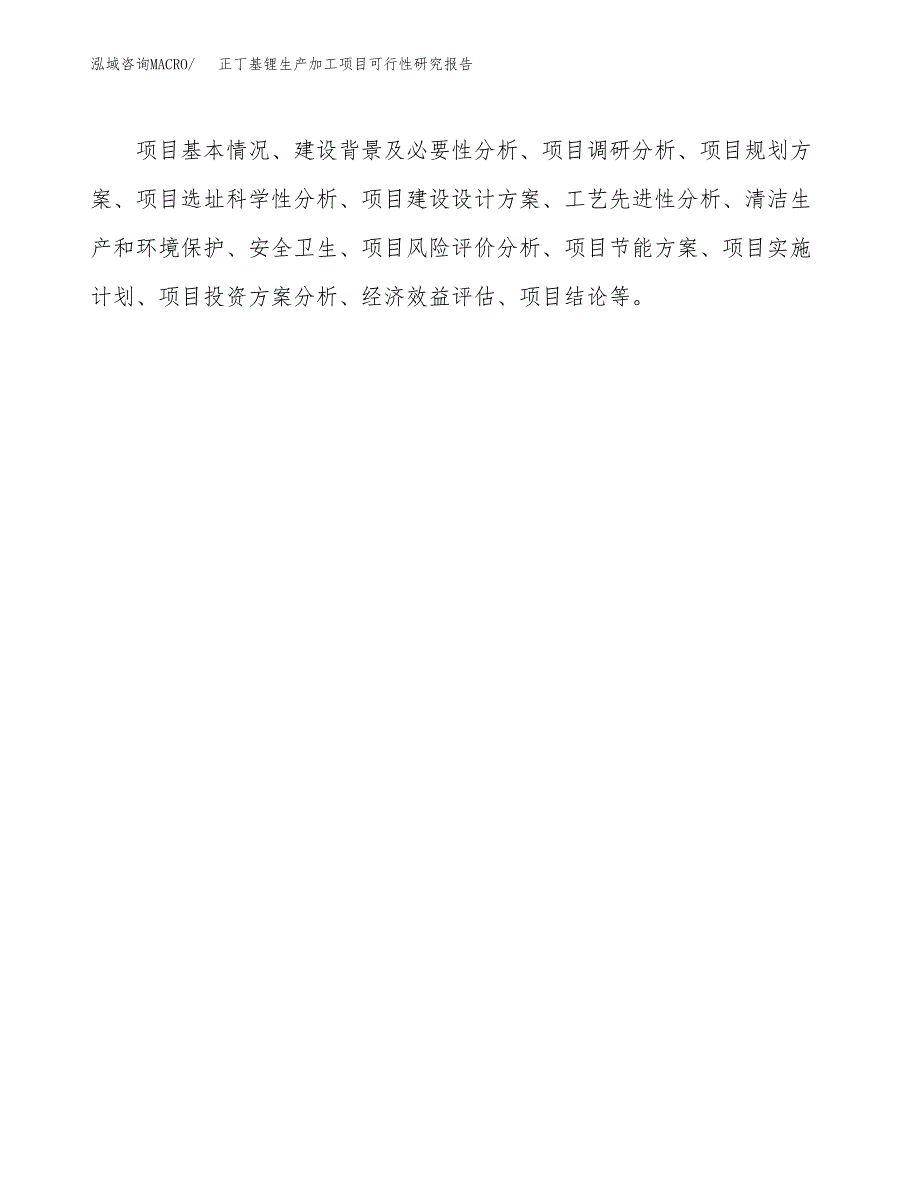 正丁基锂生产加工项目可行性研究报告_第3页