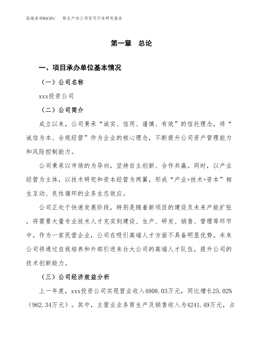 （模板）剪生产加工项目可行性研究报告_第4页