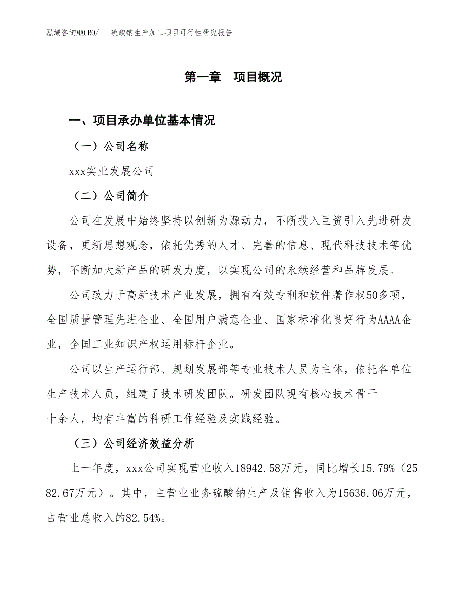 （模板）硫酸钠生产加工项目可行性研究报告_第4页